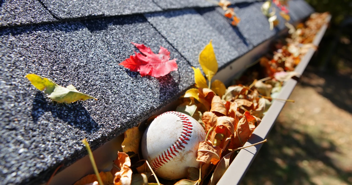 Close-up of a roof edge with dark asphalt shingles above a gutter filled with autumn leaves and a weathered baseball.